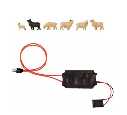 Audio Experience - Sheep (00)