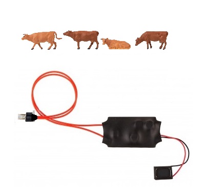 Audio Experience - Cows (00)